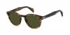OKULARY DAVID BECKHAM DB 1198S EX4 50 ROZMIAR M